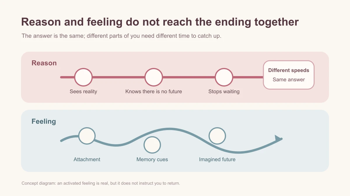 Parallel-track diagram showing that rational understanding can reach the end before attachment, memory cues, and imagined futures catch up