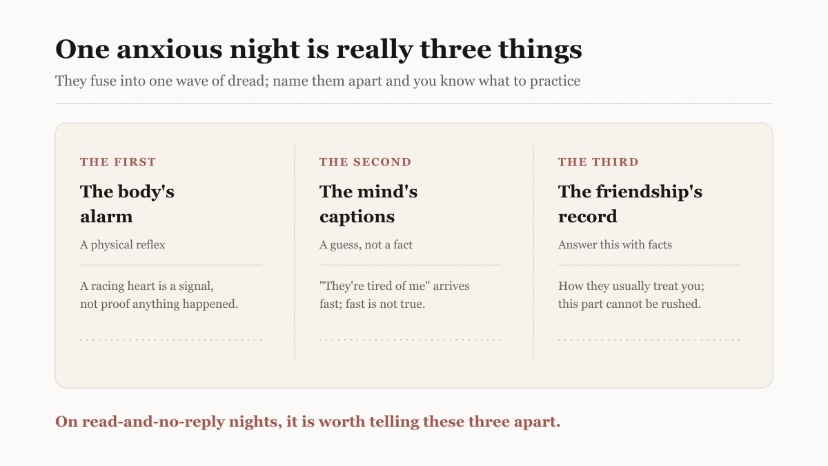 Three-panel illustration separating one anxious night into the body's alarm, the mind's automatic captions, and the friendship's actual track record